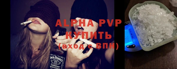 гашик Алексеевка
