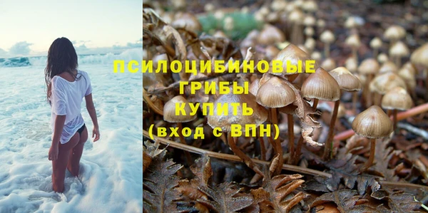 гашик Алексеевка