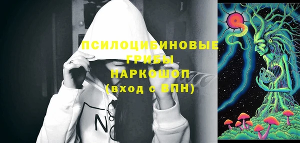 ПСИЛОЦИБИНОВЫЕ ГРИБЫ Рославль